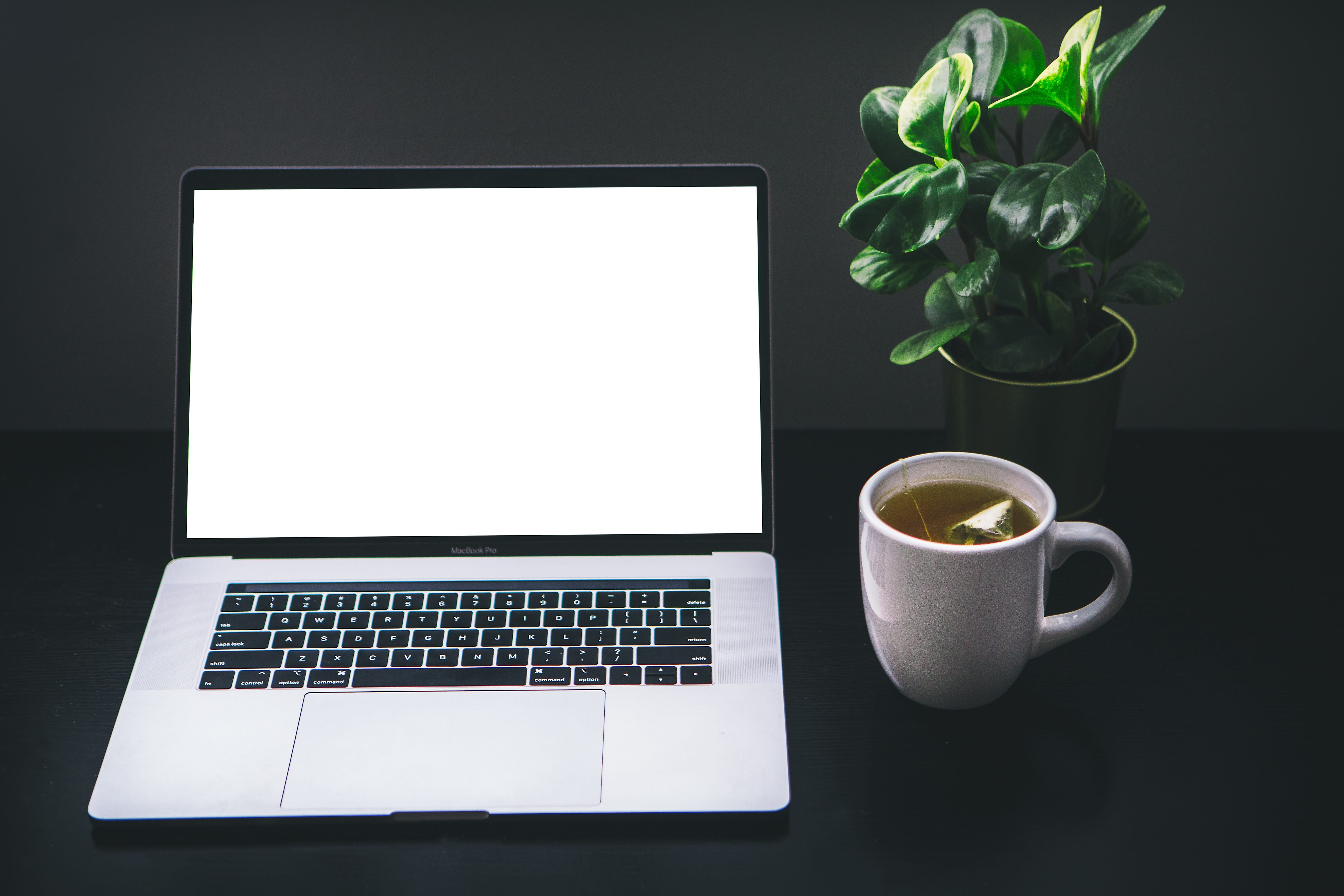 A laptop next to a plant and a cup of tea representing a person taking time to gather information at home on their own time.