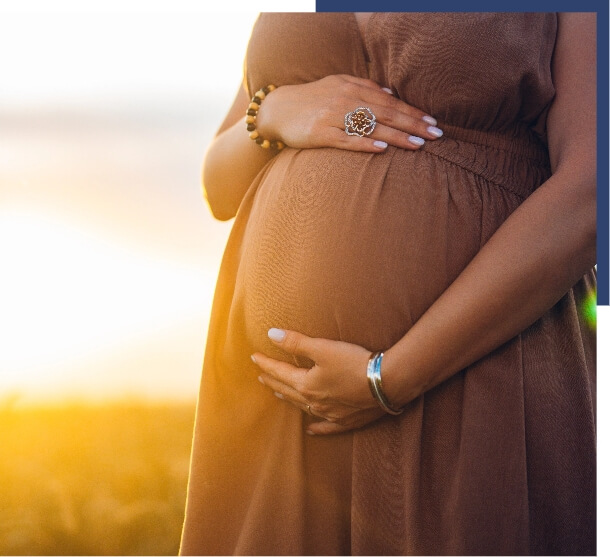 Fertility surrogacy introduction image