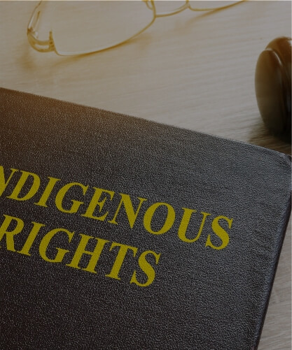 Indigenous law thumbnail
