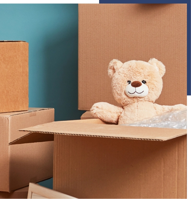 Child mobility relocation introduction image