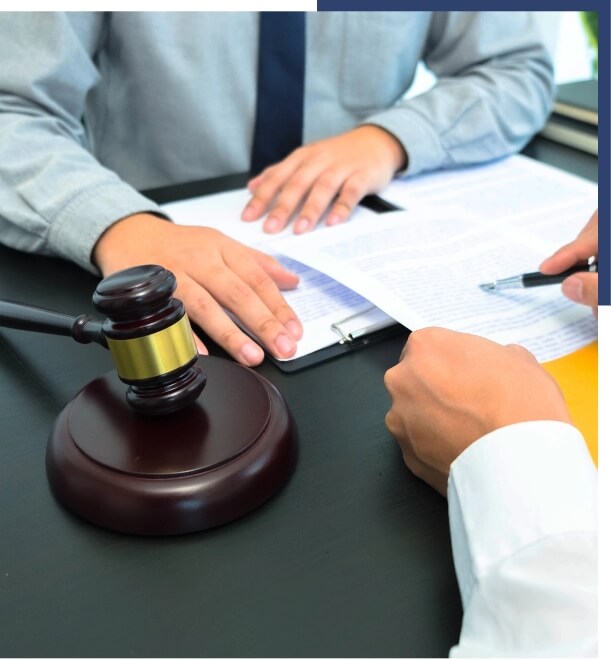 Estate litigation introduction image