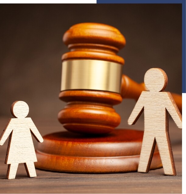 Private guardianship introduction image