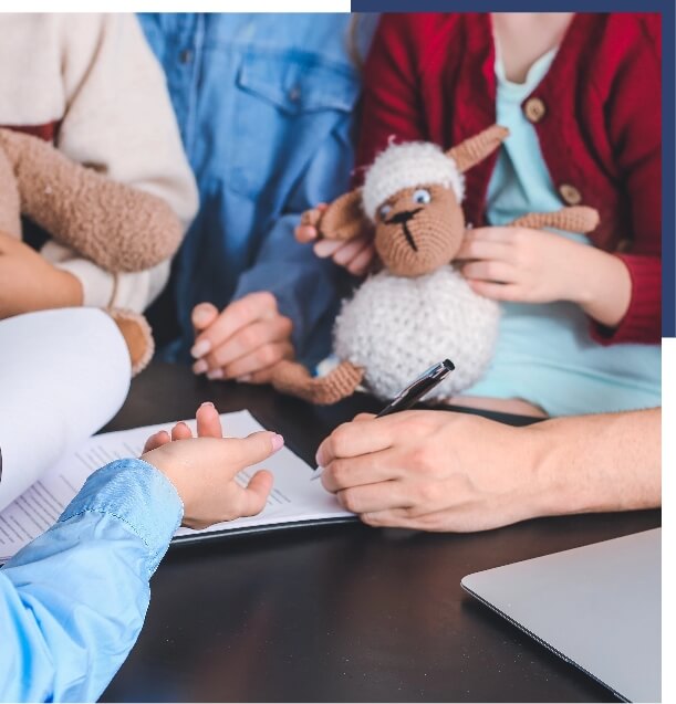 Temporary guardianship introduction image